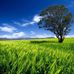 Ryan Bale - Facebook