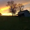 Crossroads Cattle Co - @ryanball25 - TikTok