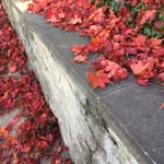Ryan Ball - @ryan_p_ball - Instagram