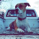 Ryan Bandy - @bandyryan - Instagram