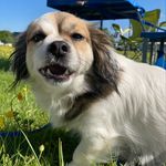 Ryanbanning - @ryanmban - Instagram