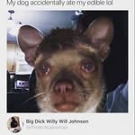 Ryan Barger - @sombercolt1 - Instagram