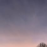 Ryan Barone - @ryan_barone23 - Instagram