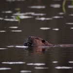 Ryan Barstow - @rgb_outdoors - Instagram