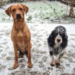 Ryan Barton - @ryan.barton.1481169 - Instagram