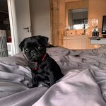 Ryan Batt - @r.batt - Instagram