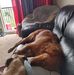 Ryan Bauder - Facebook