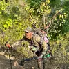 ryanbaumann988 - @ryanbaumann988 - TikTok