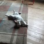 Ryan Bayes - @ryan_bayez - Instagram