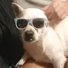 maryann.beam - @maryann.beam1 - TikTok