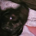 Ryan  Beam - @phobos145 - Instagram