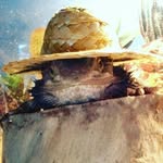 Ryan Beamish - @ryan_beamish51 - Instagram