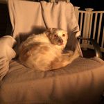 Ryan Bedard - @shmeedard - Instagram