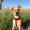 ryannbedard7 - @ryann.bedard1 - TikTok