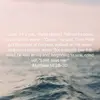 Ryan Beebe - @ryan.beebe5 - TikTok