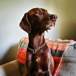 Ryan Belk - @rybelkan - Instagram