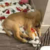 Ryan Bellamy - @ry.ooooo - TikTok
