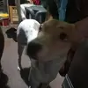 ryanbercero252 - @ryanbercero252 - TikTok