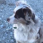 Ryan Bergmann - @rbergmann67 - Instagram