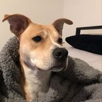 Ryan Berlin - @ryan_berlin - Instagram