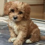 Ryan Berman - @ryan.berman.75 - Instagram