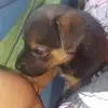 Ryan Bess - @ryan.bess8 - TikTok