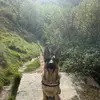 ryanbetts0 - @ryanbetts0 - TikTok