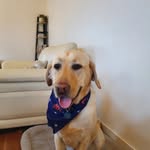 Ryan Bicker - @ryanbicker - Instagram