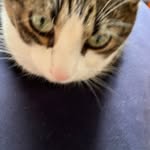 Ryan Bickerstaff - @bickerstaff8721 - Instagram