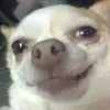 Ryan Bienvenu - @ryanbienvenu66 - TikTok