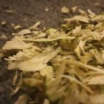Ryan Bigelow - @ryanbigelow2486 - Instagram
