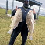 Bigge Ryan - Facebook