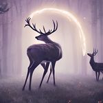 Ryan - @ryan_bilello_ - Instagram