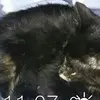 Ryan Bilodeau - @ryanbilodeau7 - TikTok