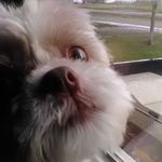 Ryan Binder - @ryanbinder17 - Instagram