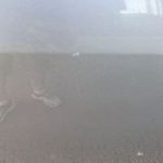 Ryan Binder - @sscsltd2004 - Instagram