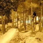 Ryan Birch - @ryanbirchbmx98 - Instagram
