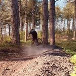Ryan Blakey - @ryanblakey_ - Instagram