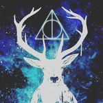 Ryan Bloom - @ryanbloom2352 - Instagram
