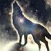Ryan Bloomfield - Facebook