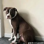 Ryan Bloomfield - @bloomfieldr223 - Instagram