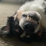 Ryan Blount - @blount3635 - Instagram