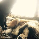 Ryan Blyth - @blyth.ryan - Instagram