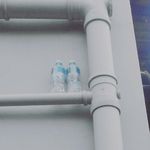 Sa tricksters Ryan Blyth - @ryan_boss_blyth - Instagram