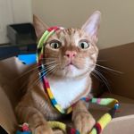 Ryan Bobrowski - @itstrueimryan - Instagram