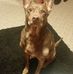 Ryan Delp Boddy - Facebook
