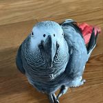Ryan Boisvert - @rboisvert86 - Instagram
