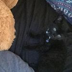 Ryan Boisvert - @ryan_boisvert - Instagram