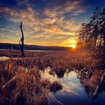 Ryan Boisvert - @scenesofwitherstudio - Instagram