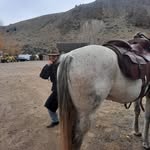 Ryan Bolduc - @ry.guyyyy - Instagram